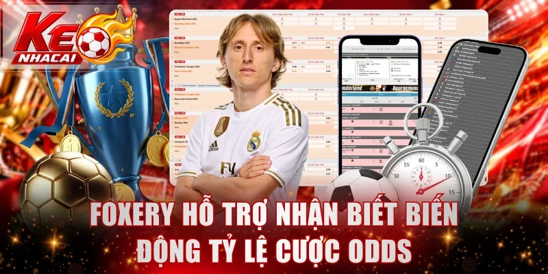 Foxery hỗ trợ nhận biết biến động tỷ lệ cược Odds